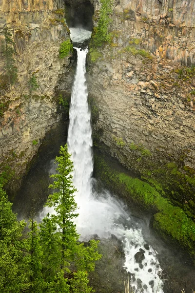 Spahats falls waterval in wells gray provincial park, canada — Stockfoto