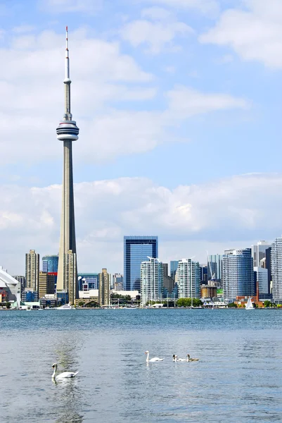 Toronto manzarası — Stok fotoğraf