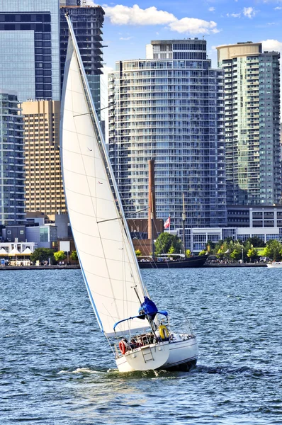 Zeilboot Zeilen Haven Van Toronto Met Uitzicht Binnenstad — Stockfoto
