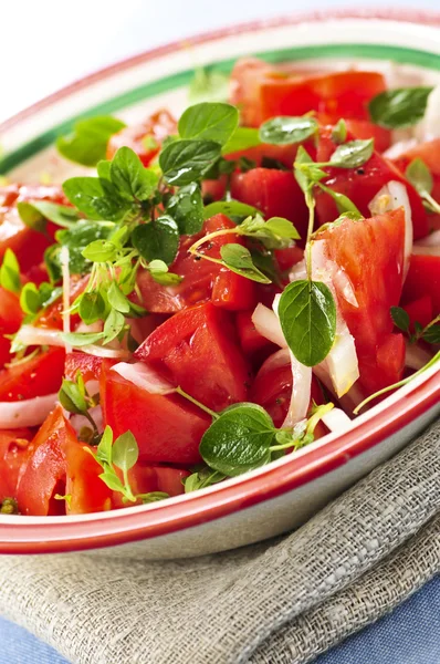 Tomatensalat Mit Zwiebeln Und Kräutern — Stockfoto