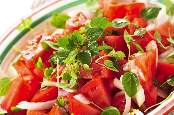 Summer Tomato Salad Onions Herbs — Stock Photo, Image