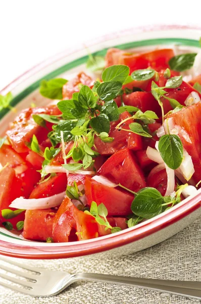 Ensalada Tomate Verano Con Cebollas Hierbas —  Fotos de Stock