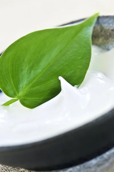 Natural Face Cream Skincare Green Leaf — Stock Photo, Image