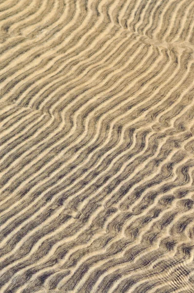 Піскові брижі в мілководді — стокове фото
