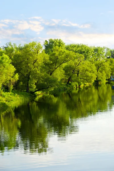 Trees reflecting in river — Stock Photo, Image