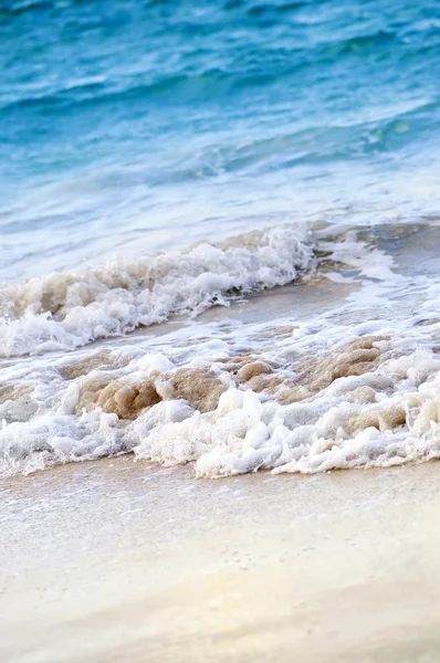 熱帯カリブ海の波が磯に打ち寄せて — ストック写真
