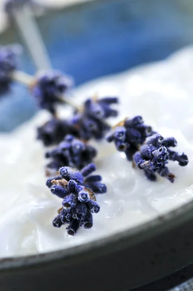 Natural Cream Skincare Branches Lavender — Stock Photo, Image