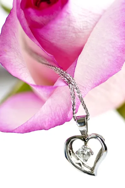 Diamond necklace on rose — Stock Photo, Image