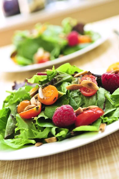 Zelený salát s ovocem a rajčaty — Stock fotografie