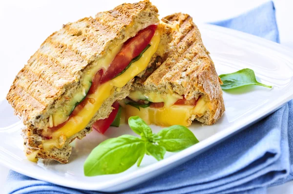 Ψητά Σάντουιτς Τυρί Και Ντομάτα Ένα Πιάτο — Φωτογραφία Αρχείου
