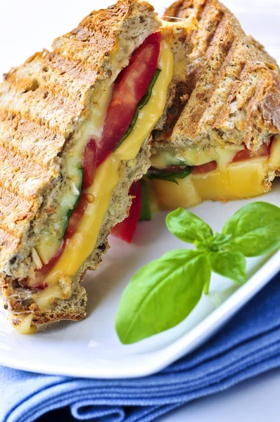 Бутерброд на грилі сир — стокове фото