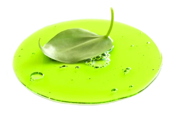 Fresh leaf in green liquid — Stock Photo, Image
