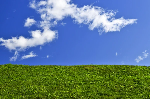 Блакитне небо і зелене поле — стокове фото