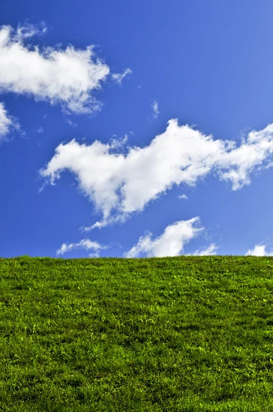 Blauer Himmel und grünes Feld — Stockfoto