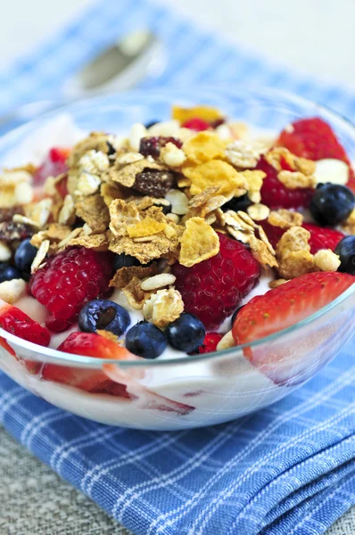 Servizio Yogurt Con Bacche Fresche Muesli — Foto Stock