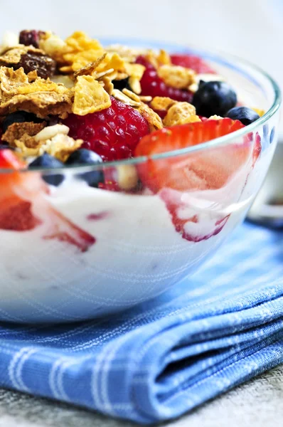 Servizio Yogurt Con Bacche Fresche Muesli — Foto Stock
