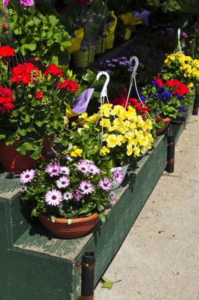 花屋台での販売のための花籠 — ストック写真