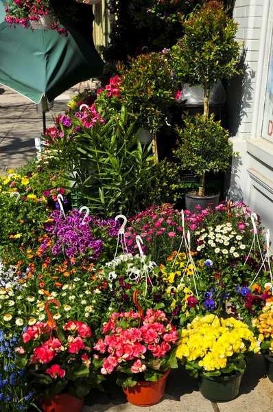 Květinové Koše Prodej Stánku Květinami — Stock fotografie