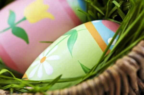 Paskalya yumurtaları ile yeşil çimen — Stok fotoğraf