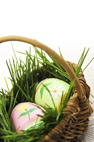Pasen Eieren Regeling Met Groen Gras Een Mand — Stockfoto