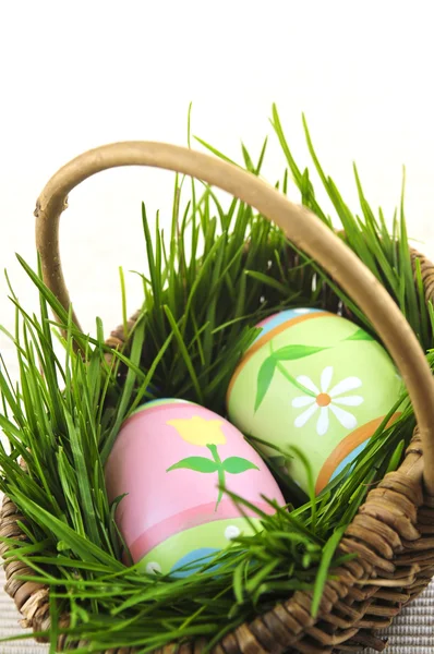 Пасхальные яйца с зеленой травой — стоковое фото
