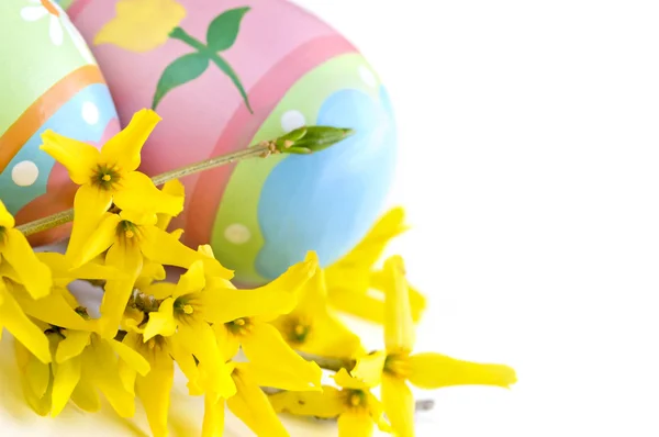 Disposizione Delle Uova Pasqua Con Fiori Primaverili Isolati Sfondo Bianco — Foto Stock