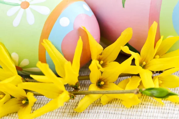 Disposizione Delle Uova Pasqua Con Fiori Gialli Forsizia — Foto Stock