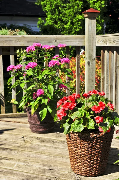 Wooden House Deck Decorated Flower Pots — Stock Photo, Image
