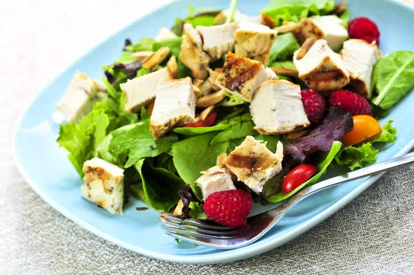 Izgara Tavuk Göğsü Ile Sağlıklı Yeşil Salata — Stok fotoğraf