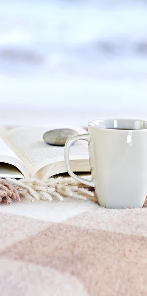 Bir Kitap Çay Sahilde Rahatlatıcı — Stok fotoğraf