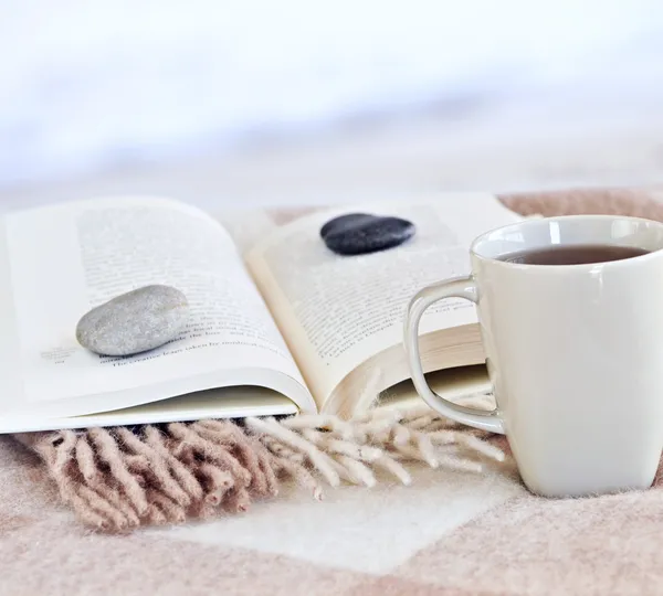 Bir Kitap Çay Sahilde Rahatlatıcı — Stok fotoğraf
