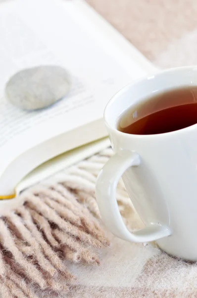 Rahatlatıcı Bir Kitap Çay — Stok fotoğraf