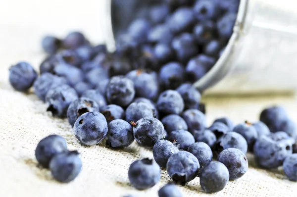 Fresh Blueberries Spilling Out Pail Close — Stock Photo, Image