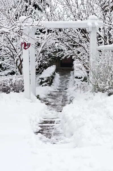 Vinterträdgård — Stockfoto