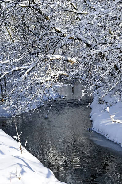 Зимний Пейзаж Заснеженными Деревьями Рекой — стоковое фото