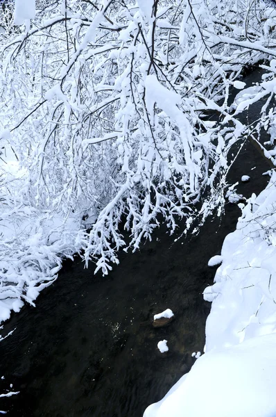 Зимовий Пейзаж Засніженими Деревами Річкою — стокове фото