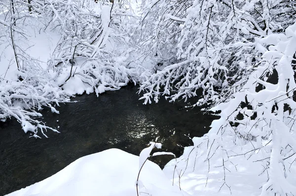 Зимний Пейзаж Заснеженными Деревьями Рекой — стоковое фото