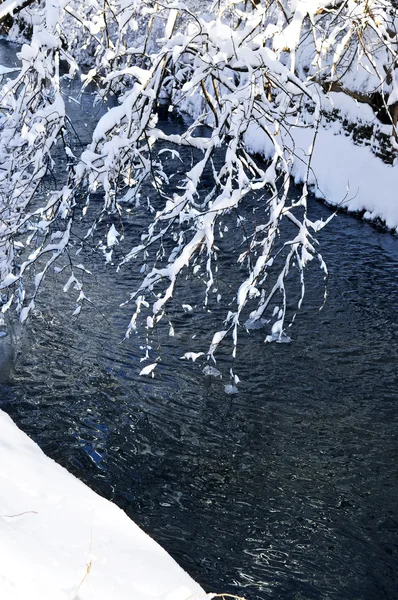 Paisaje Invernal Con Árboles Cubiertos Nieve Río — Foto de Stock
