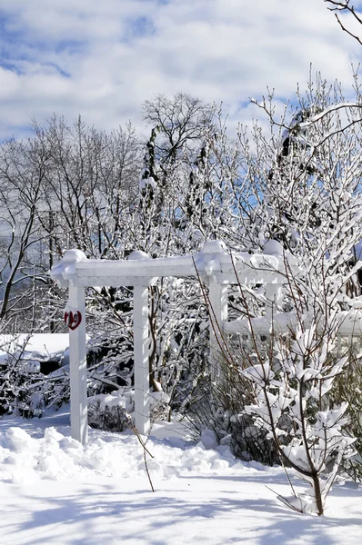 Передній Двір Будинку Покриті Снігом Зимовий Торонто — стокове фото