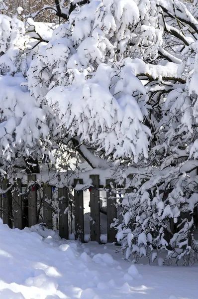 Hus staket på vintern — Stockfoto