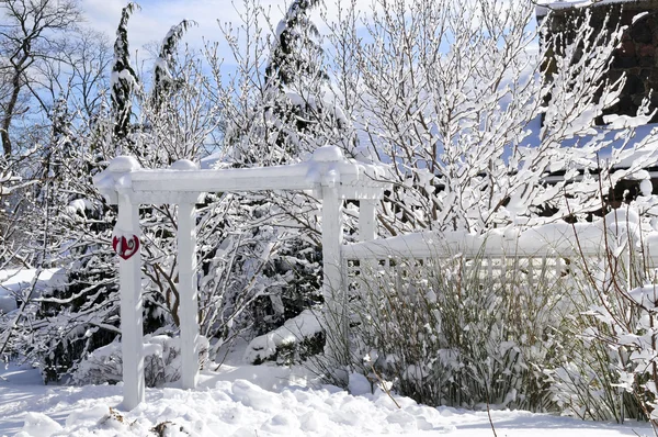 Front yard of a house in winter — Stock Photo, Image