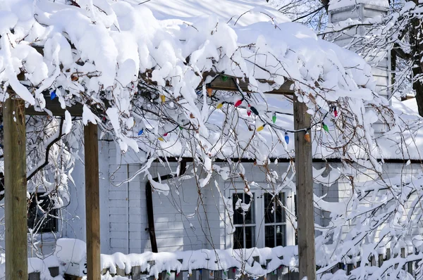 Μπροστινή Αυλή Ενός Σπιτιού Που Καλύπτονται Χιόνι Στο Τορόντο Χειμώνα — Φωτογραφία Αρχείου