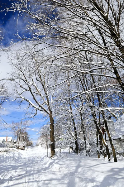 Strada Invernale Con Molta Neve Toronto — Foto Stock