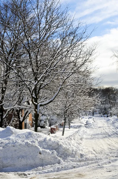 Зимняя Улица Большим Количеством Снега Торонто — стоковое фото