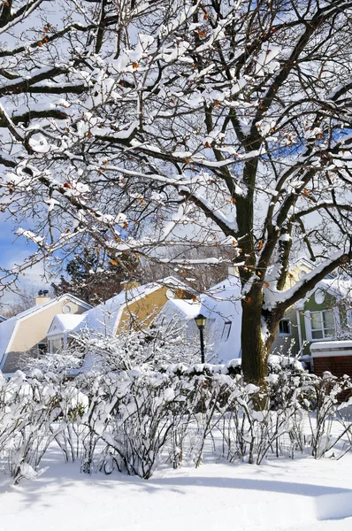 冬季街头有很多的雪和多彩的房子在多伦多 — 图库照片