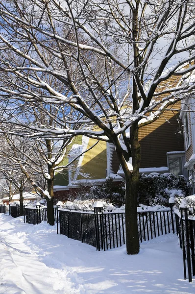 冬季街头有很多的雪和多彩的房子在多伦多 — 图库照片
