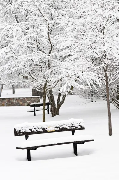 冬季公园景观与在雪下的长椅 — 图库照片