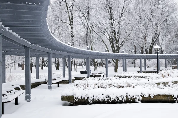 stock image Winter park landscape with snow covered trees