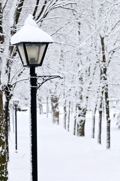 Parque Invierno Cubierto Nieve Blanca Fresca —  Fotos de Stock