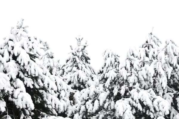 Wintertakken — Stockfoto